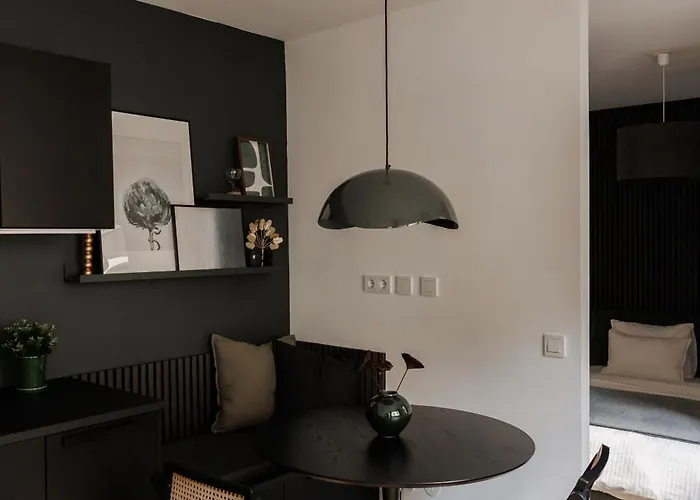 Augarten Loft With Ac And Terrace Viena